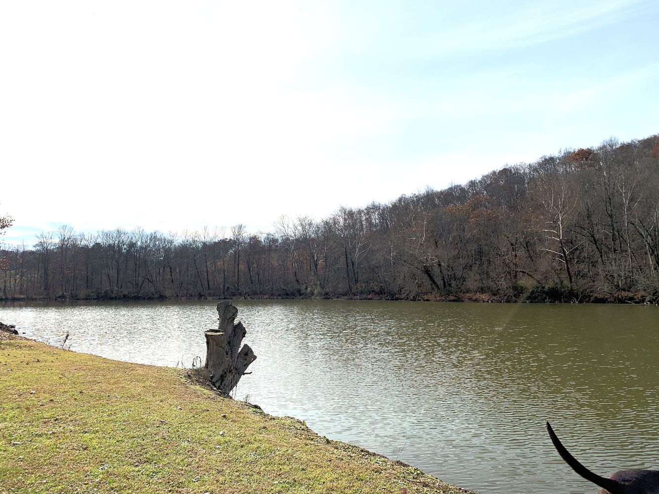 9713 Grandview Lake Rd, Ashland, KY 41102